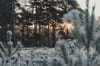 Be Aware of The Cold And Avoid Hypothermia And Frostbite
