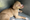 "Come Save Me" Campaign Aims to Find Homes for Shelter Animals in Columbus